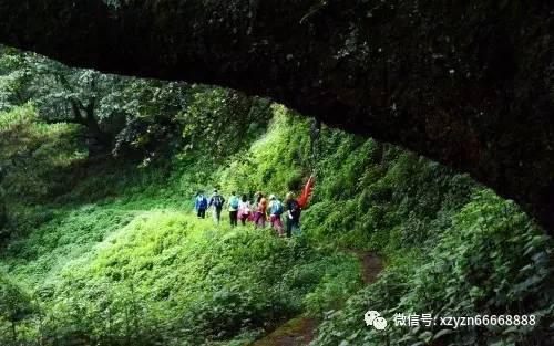 唯一的幸存者